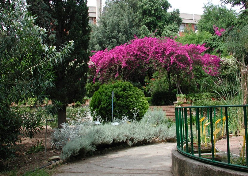 Orto Botanico dell'Università di Bari, Bari, Metropolitan City of Bari, Italy, Italy
